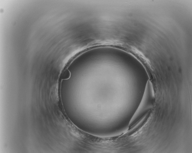 X0000088601174200706011155