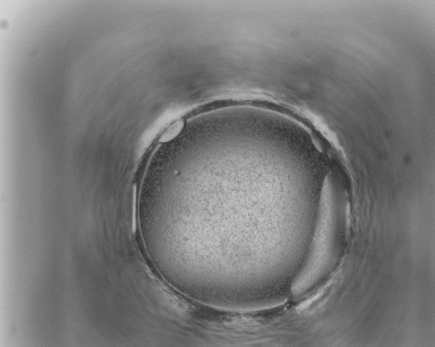 X0000088601175200706011155