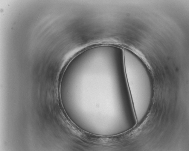 X0000088601176200706011155