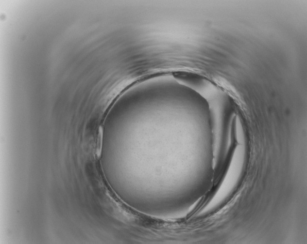 X0000088601177200706011155