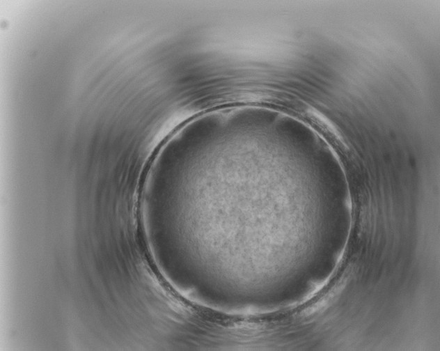 X0000088601178200706011155