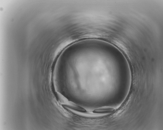 X0000088601179200706011155