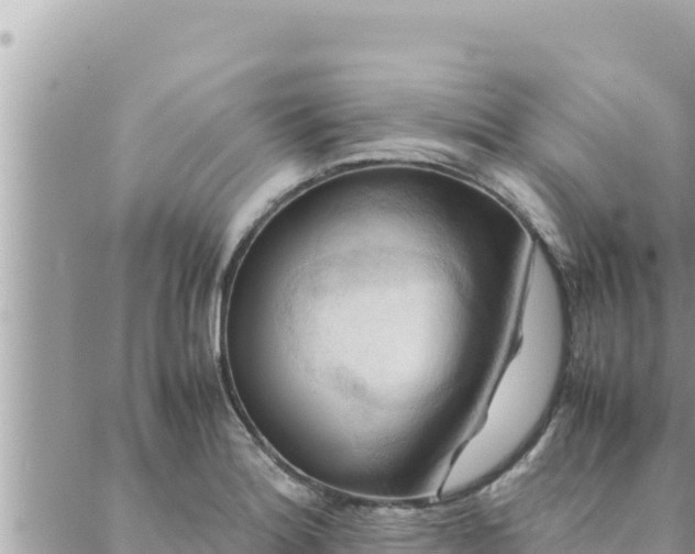 X0000088601180200706011155