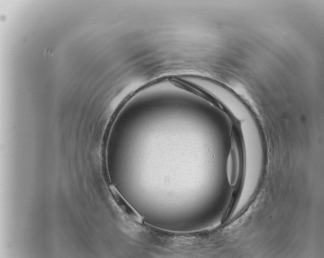 X0000088601181200706011155