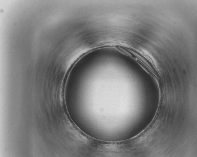 X0000088601182200706011155