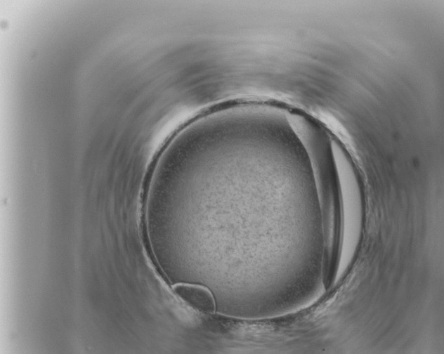 X0000088601183200706011155