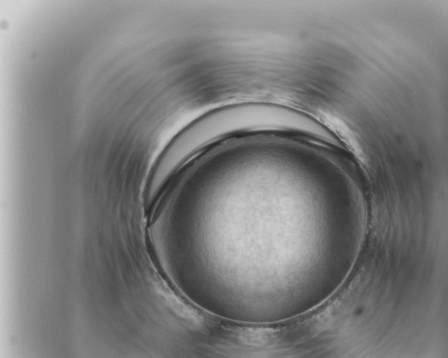 X0000088601184200706011155