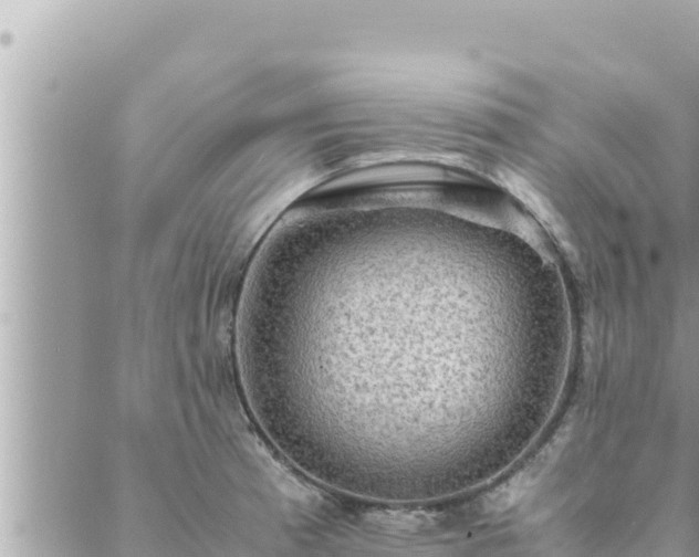 X0000088601185200706011155