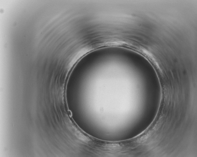 X0000088601186200706011155