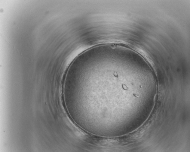 X0000088601187200706011155