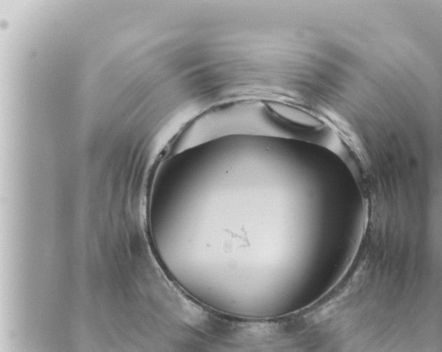 X0000088601188200706011155