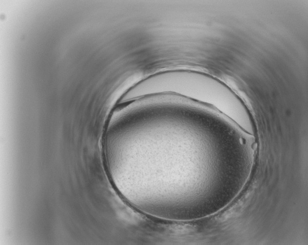 X0000088601189200706011155