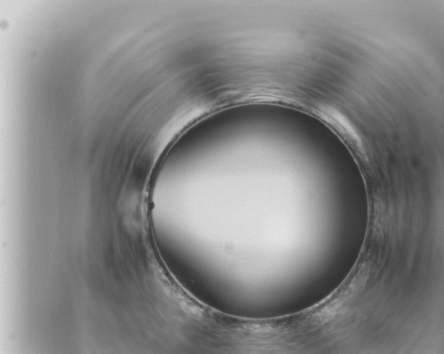 X0000088601190200706011155