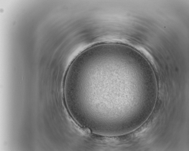 X0000088601191200706011155