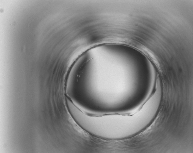 X0000088601192200706011155