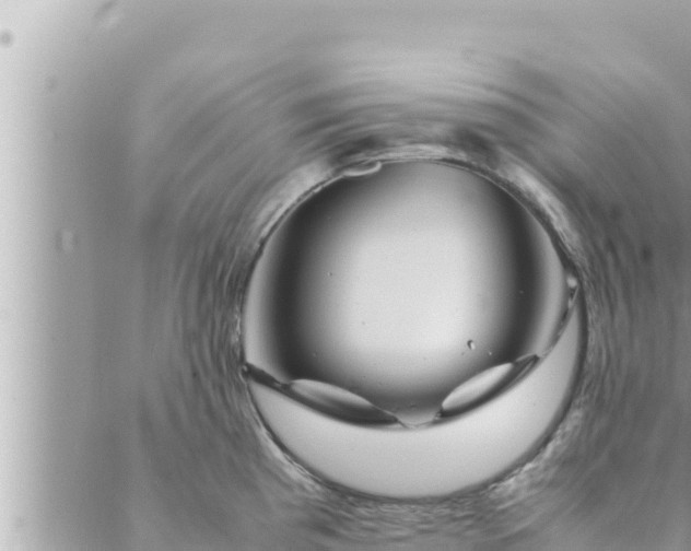 X0000088601193200706011155