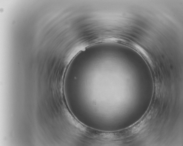 X0000088601194200706011155