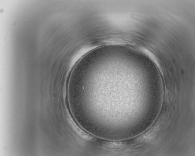 X0000088601195200706011155