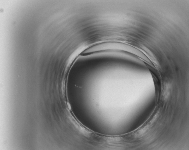 X0000088601196200706011155