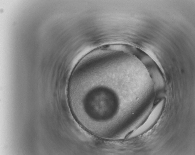 X0000088601197200706011155