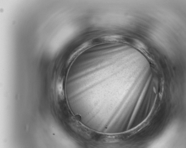 X0000088601198200706011155