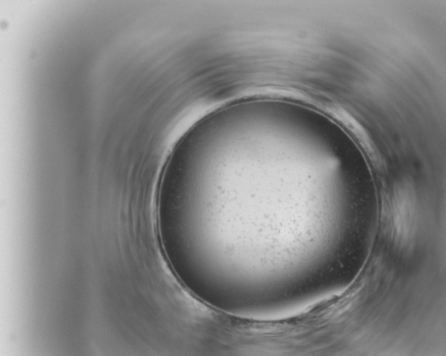 X0000088601199200706011155