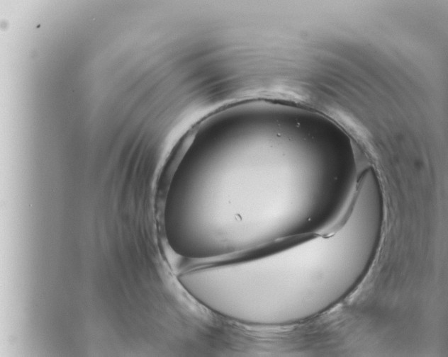 X0000088601200200706011155