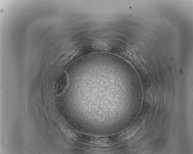 X0000088601201200706011154