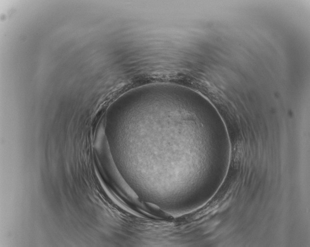 X0000088601202200706011154