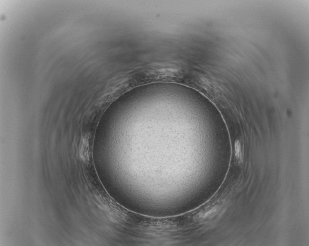 X0000088601203200706011154