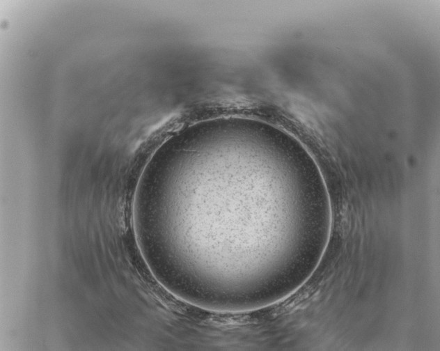 X0000088601205200706011154