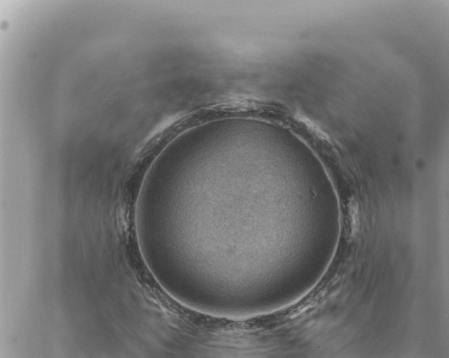 X0000088601206200706011154