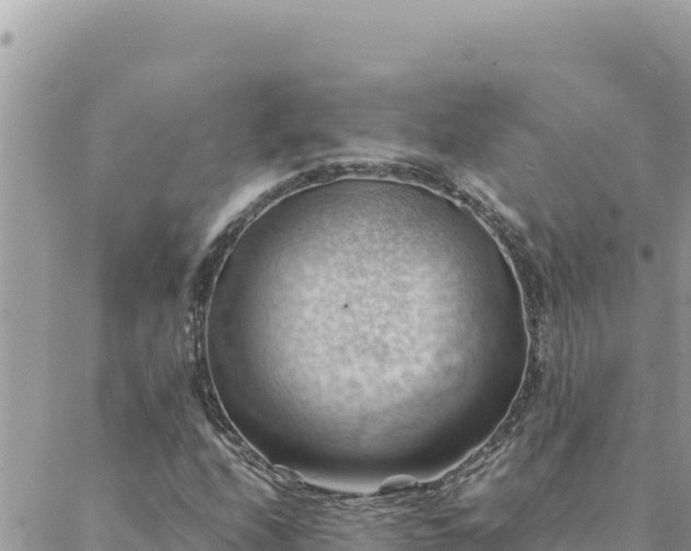 X0000088601208200706011154