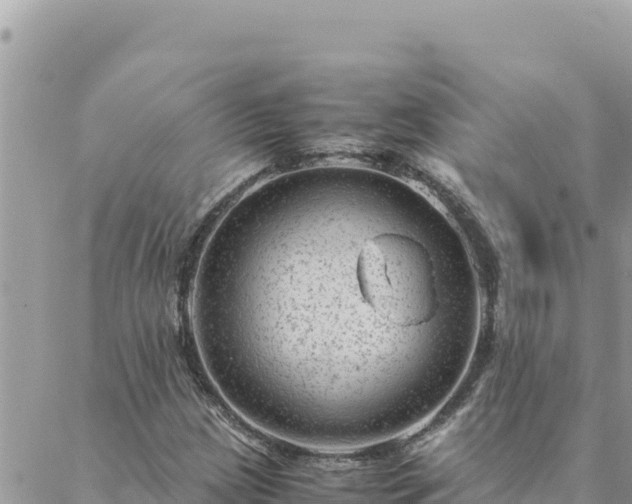 X0000088601209200706011154