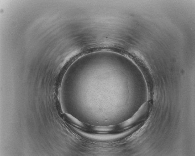 X0000088601210200706011154