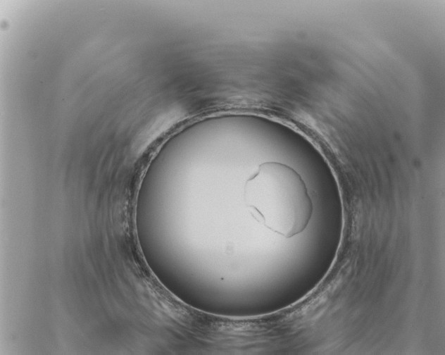 X0000088601211200706011154