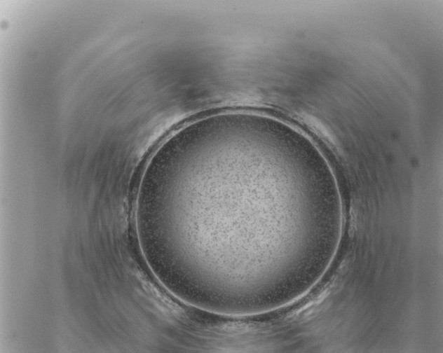 X0000088601212200706011154