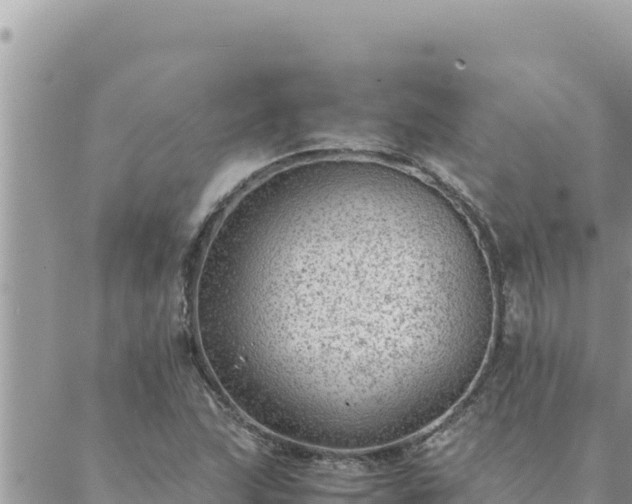 X0000088601215200706011154