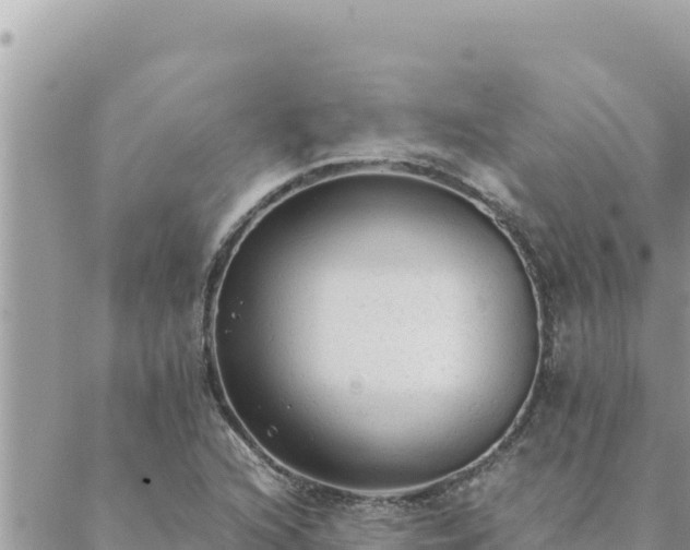 X0000088601216200706011154