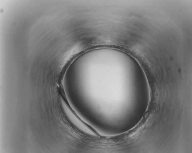 X0000088601218200706011154