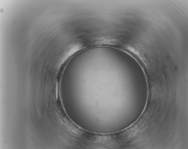 X0000088601219200706011154