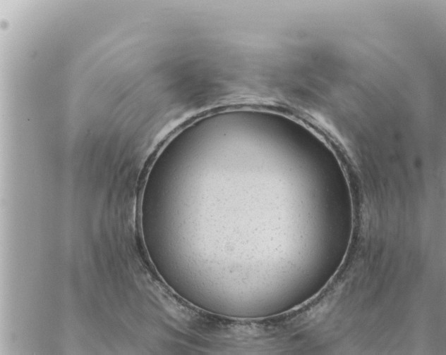 X0000088601220200706011154