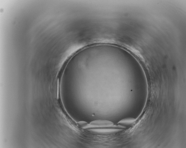 X0000088601223200706011154