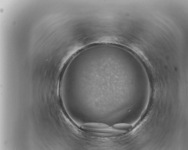 X0000088601224200706011154