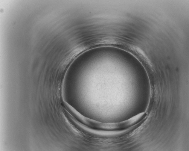 X0000088601225200706011154