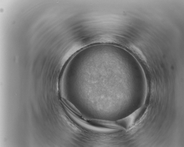 X0000088601226200706011154