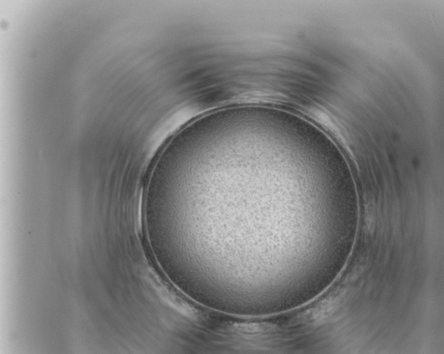 X0000088601227200706011154