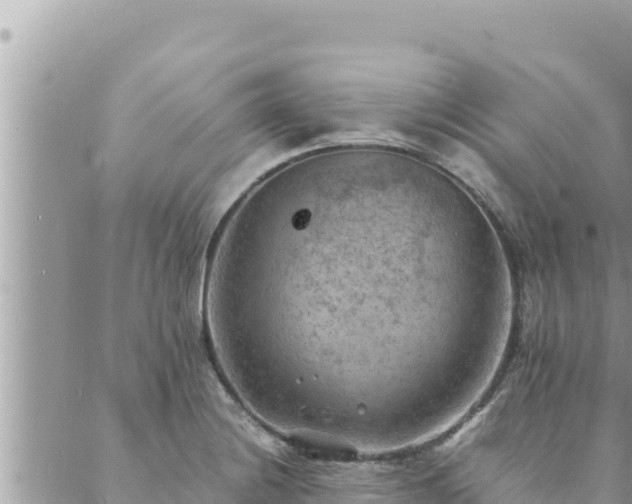 X0000088601228200706011154