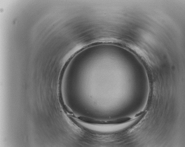 X0000088601229200706011154