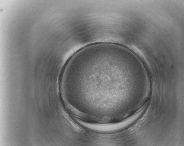 X0000088601230200706011154